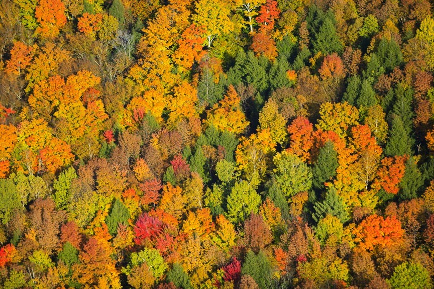 Quechee Gorge Fall Foliage